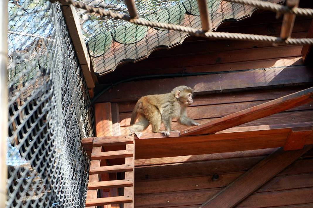 Otobüsle gönderilen koliyi kimse almayınca şoke eden gerçek ortaya çıktı! Hiç kimse bu kadar absürtlüğü tahmin edemezdi 21
